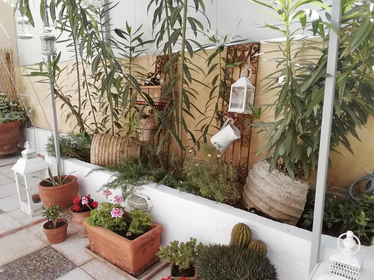 Amazing Semi-Basement Art Apartment Easy Walk To Nafplio Centre Eksteriør bilde